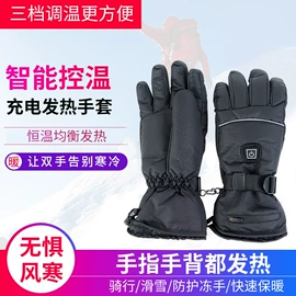 滑雪手套;电热片;骑行手套