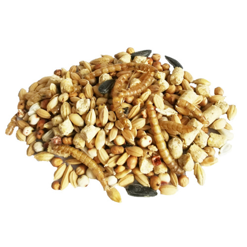Yuanxi hamster food, grains, grains, nutrition, beautiful hair pet rat food, golden bear small bag and large bag manufacturer