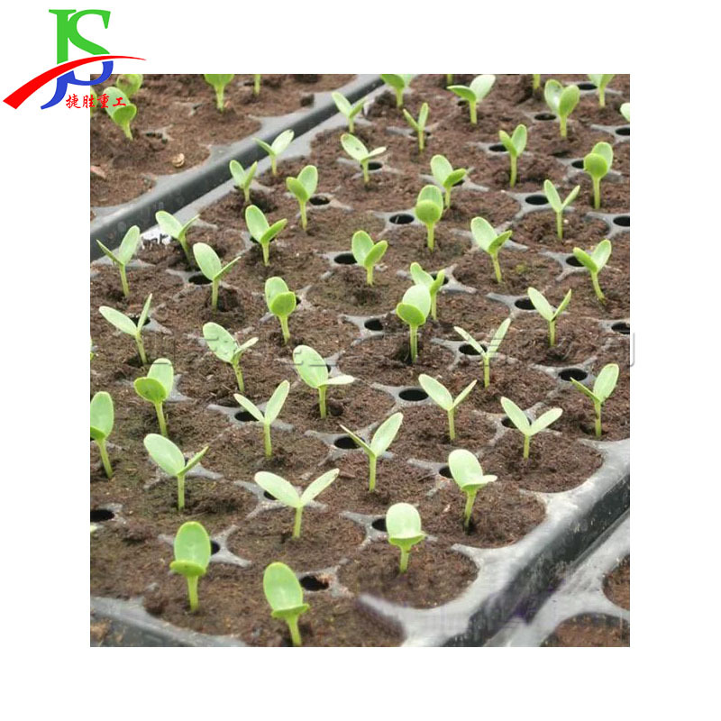 西瓜苗穴盘育苗机 黄瓜200 孔穴盘播种机 蔬菜基地秧苗育苗机