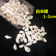 ����С������10-20mm ˮ�������װ�μҾӹ������� ��Ȼ���Ǻ���