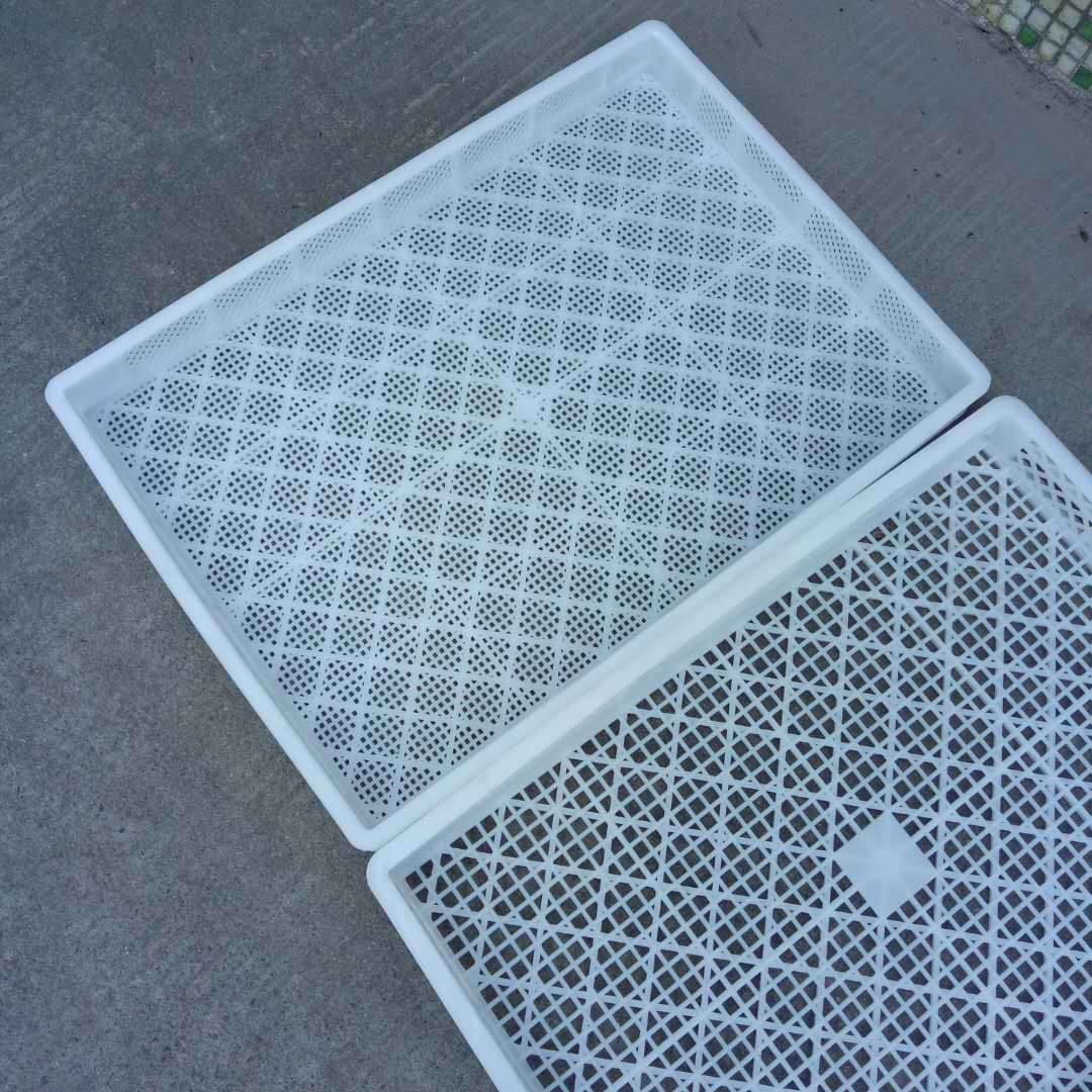 凭祥钦州芒果地瓜干食品耐高温密眼烘干托盘600*400*60晒筛周转箱