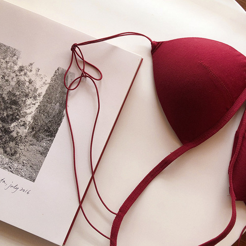 French European and American back bra front button bra set triangle cup young ladies student bra without steel rims sexy foreign trade