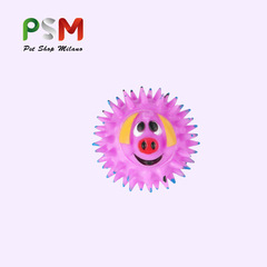 PSM Pet Toy Ball Rubber Sound Pet Toy Durable Chew-Resistant Fun Cartoon Toy