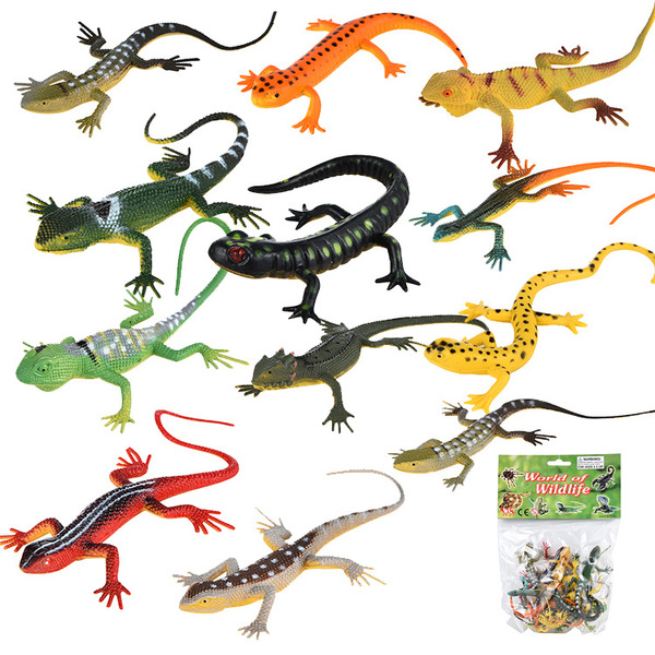 realistic animal model