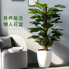 花盆容器;园艺工具;园艺护栏