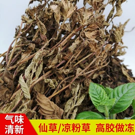 灵芝;库存农产品;冰粉/凉粉/龟苓膏/仙草冻粉