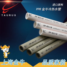 金牛PPR水管 PPR冷熱水管PN2.5 家裝給水管材自來水管廠家批發