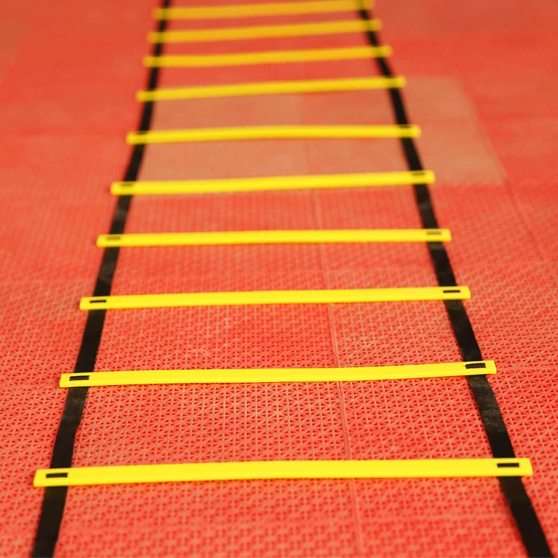 Football flexible ladder for training, wholesale, 6meter
