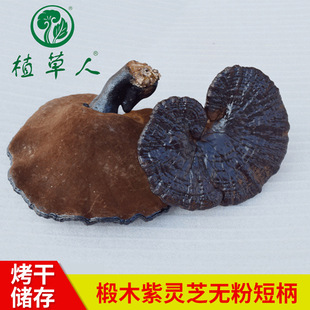 �羳���Q�ľ�������`֥500g��������`֥���_�o�۠I�B���`֥��֥