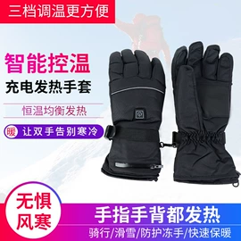 滑雪手套;电热片;骑行手套