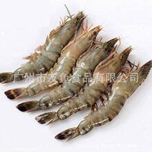 �ڻ��r���r���r������r�����ϻ��r���r���r������r900��*10��