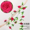 9 head rose rose red 1