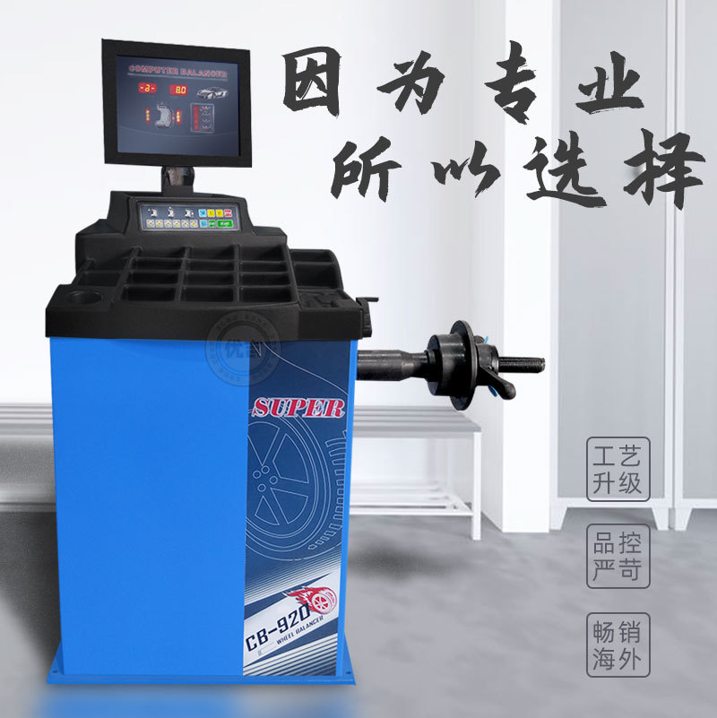 Sea Lion Castle máquina automática de equilibrio de neumáticos de coche instrumento de equilibrio de neumáticos de tamaño pequeño y mediano máquina de equilibrio dinámico placa europea