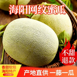 瓜果类;番薯类;薯干类