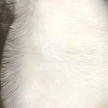 �º���ë��ɫ��ɫë�q���F؛���������Lë�q���ϼ�ëë̺�������