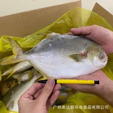 ������K�~ 20��/��8��؛ ��Ҏ����}�~ ���K�~ �S���K�~