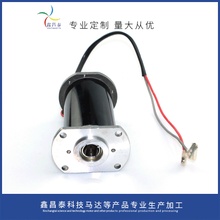 大功率直流有刷电机 榨汁机高转速电机家用果汁机电机马达