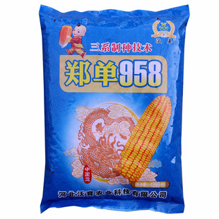 �ֆ�����958�r�����׷N�� �r��ˈ@�s���ͺ�����S������������