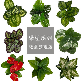 �����ȸ�~ �R���~�����~ �ָа������滨����ֲ��Gֲ�bٻ�