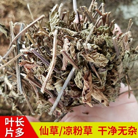 灵芝;库存农产品;藏红花