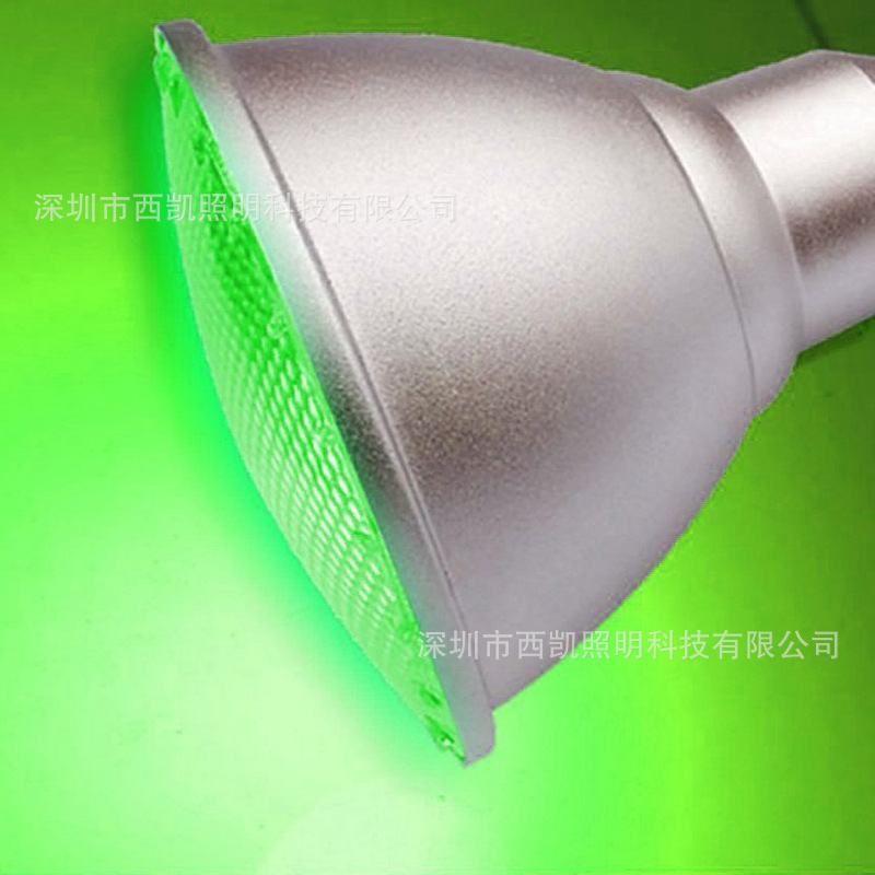 E-commerce 20W RGB PAR30 IP65 1pc integrated Multicolor PAR30 85-265V CE Certified