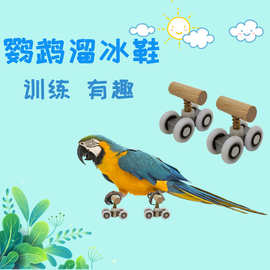 鹦鹉玩具 训练用具滑轮小太阳玄凤鹦鹉鸟用品旱溜冰鞋滑板 亚马逊