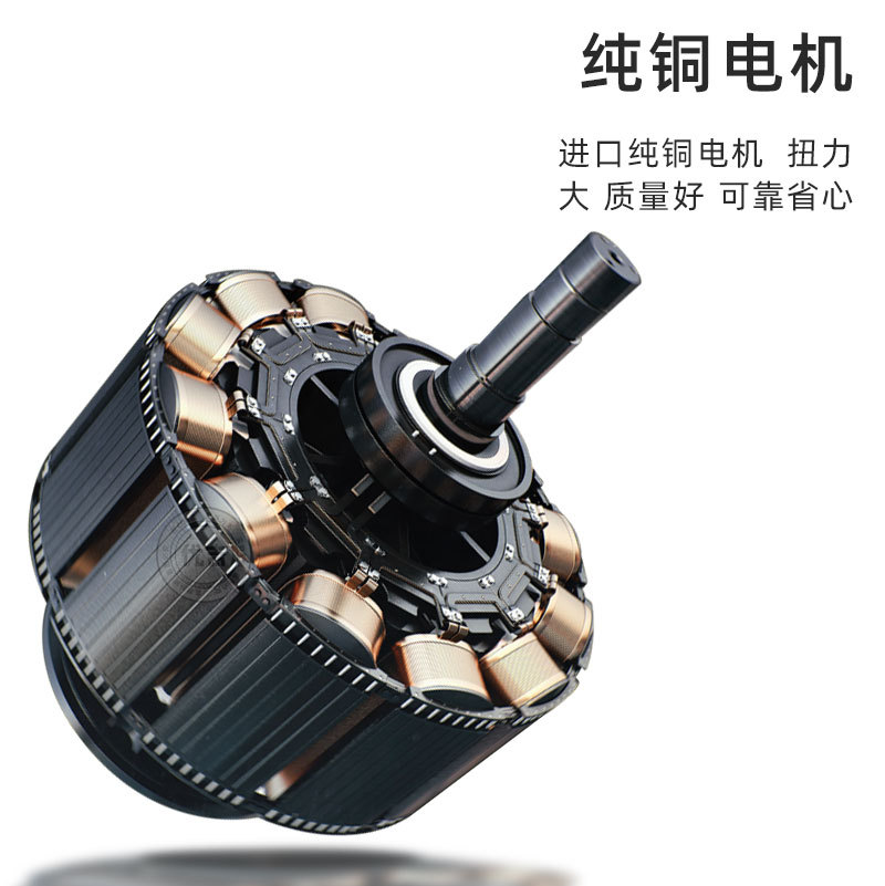 Sea Lion Castle máquina automática de equilibrio de neumáticos de coche instrumento de equilibrio de neumáticos de tamaño pequeño y mediano máquina de equilibrio dinámico placa europea