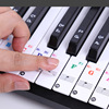 Piano, sticker, keyboard, synthesizer