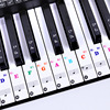 Piano, sticker, keyboard, synthesizer