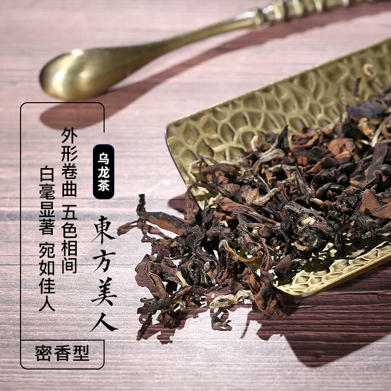 ���ɾӶ������˲�׺����������в�̨���������������������