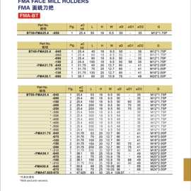 台湾ACROW，FMA SM面铣刀柄NT40-FMA25.4-045  BT50-FMA31.75-075