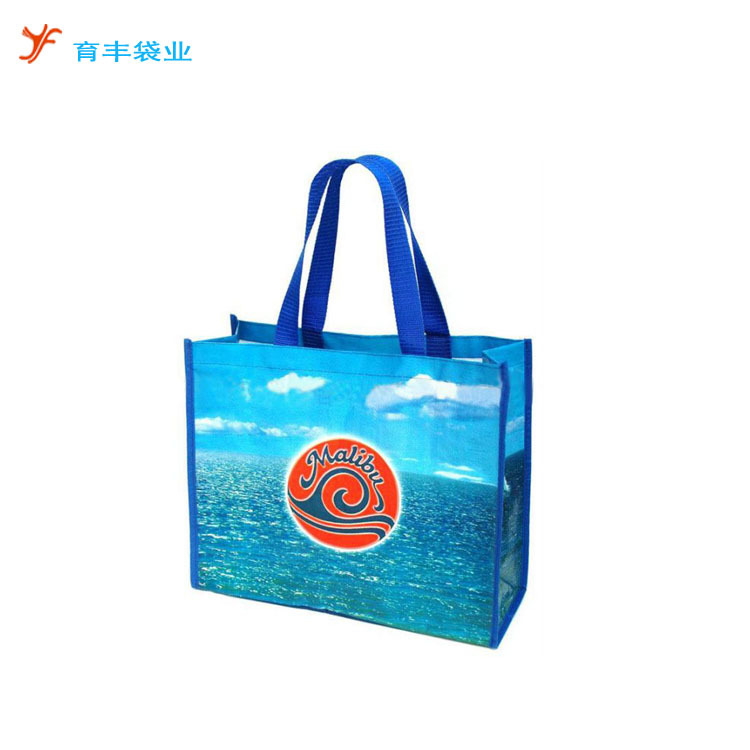 广州工厂制作彩印编织袋出口手提防水拉链环保加厚耐用PP商用