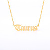 Zodiac signs, retro necklace stainless steel, pendant with letters, Aliexpress, English letters