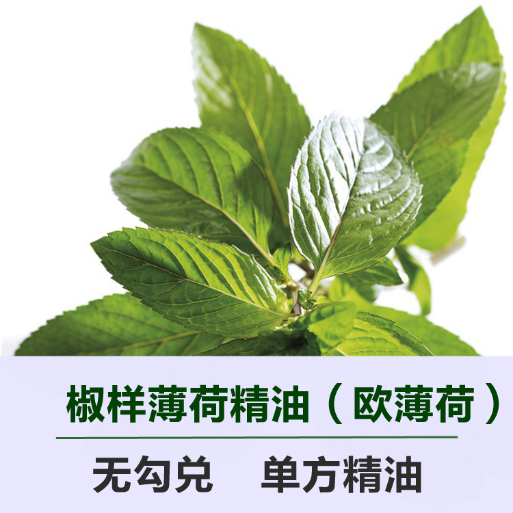 无勾兑椒样薄荷精油单方欧薄荷精油香薰精油批发原料薄荷精油