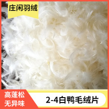 �S�ҹ���ɳ�l��о���|���������2--4-6ˮϴ����ë�qƬ���ɟo��ζ