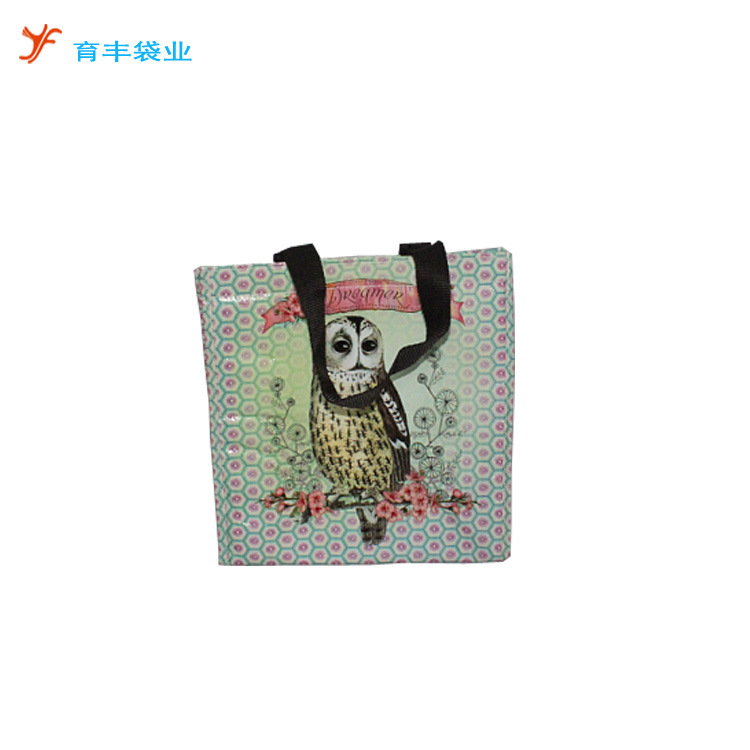 广州育丰袋业做防水编织袋 手提编织包装袋 环保可降解PEPP商用