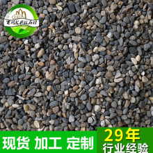 滤料水洗砂沙滩儿童玩沙水族用河沙石砂黄金沙河道开采建筑砂石子