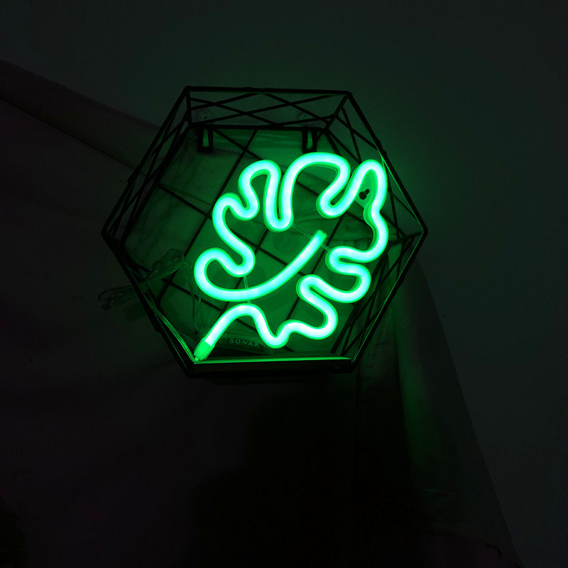 LED lights