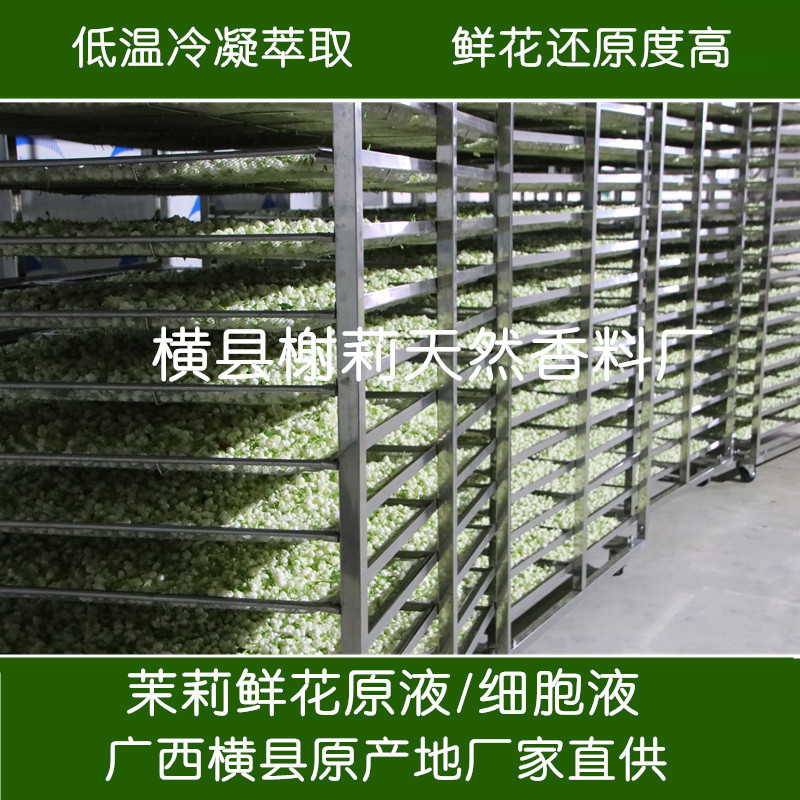 Jasmine Cell Liquid Flower Extract, Low-Temperature Condensation Extraction, Non-Jasmine Pure Dew, Guangxi Hengxian County Jasmine Cell Liquid Flower Extract, Low-Temperature Condensation Extraction, Non-Jasmine Pure Dew, Guangxi Hengxian County