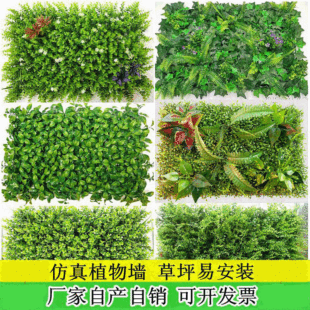 ����ֲ� ���ϼٲ�ƺ�Gֲ���b������m�͏d�������쾰�^�G��