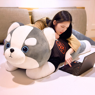 ����ͬ��ë�q��߹�ʿ�湫������ �ɐ�ſſ���������꼪�������l