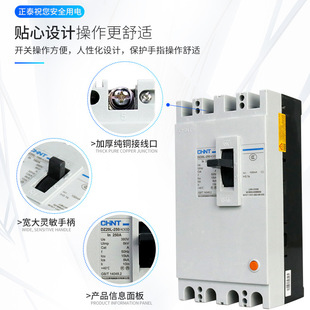 Zhengtai DZ20L-250/4 300 180A/200A/225A/250A optional 100mA shell frame 250A