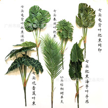 ���������~�҃��b����~��ֲ��ҾӔ[�����������Gֲ�^��ɏ�~