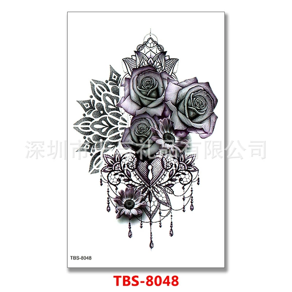 TBS-8048