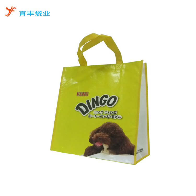 广州育丰做环保彩色复膜无纺布袋 防水购物袋手提袋印刷促销袋