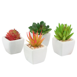 ����С�մ����������辰 ����DIY���滨ֲ���������l �Ҿ��b�