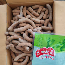 批发20斤新鲜带壳水果甜角甜酸角果铺蜜饯零食罗望子电商直发