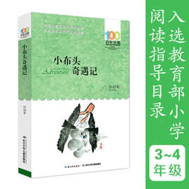 小布头奇遇记正版书籍6-12岁儿童文学图书 贵州省清北阅读四年级