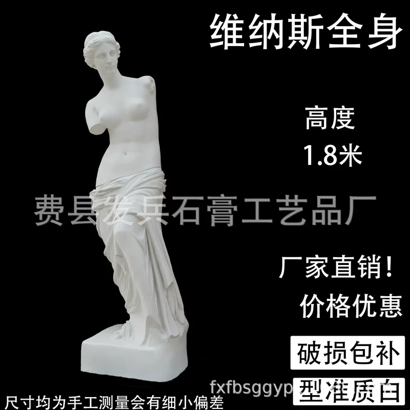 Учебные пособия из plaster, оптовая продажа, 1.8 метра