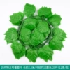 20 pieces of special tablet grape leaves (12 pieces)